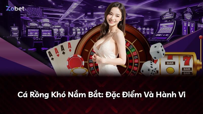 Cá Rồng Khó Nắm Bắt: Đặc Điểm Và Hành Vi