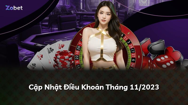 Cập Nhật Điều Khoản Tháng 11/2023