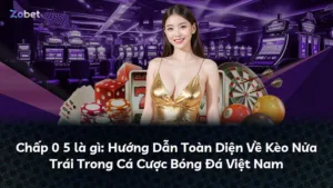 Chấp 0 5 là gì: Hướng Dẫn Toàn Diện Về Kèo Nửa Trái Trong Cá Cược Bóng Đá Việt Nam