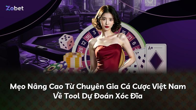 Mẹo Nâng Cao Từ Chuyên Gia Cá Cược Việt Nam Về Tool Dự Đoán Xóc Đĩa