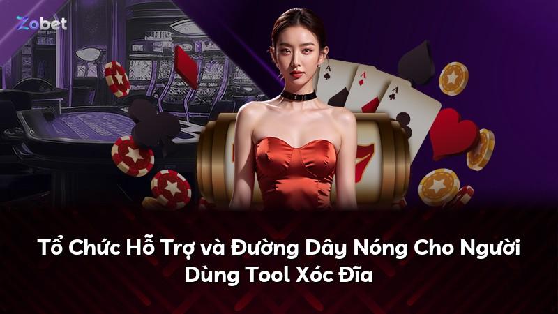 Tổ Chức Hỗ Trợ và Đường Dây Nóng Cho Người Dùng Tool Xóc Đĩa
