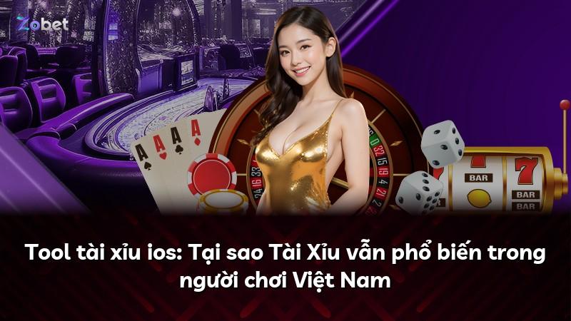 Tool tài xỉu ios: Tại sao Tài Xỉu vẫn phổ biến trong người chơi Việt Nam